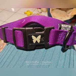 Martin Sellier Dog Collar